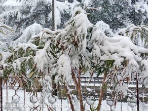 Umbria - Neve a Castel Giorgio