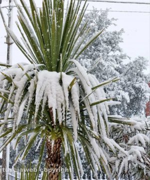 Umbria - Neve a Castel Giorgio