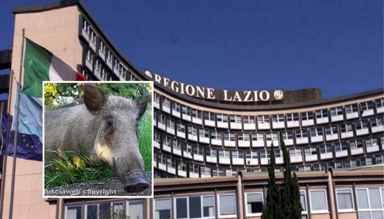 Regione Lazio - Emergenza cinghiali