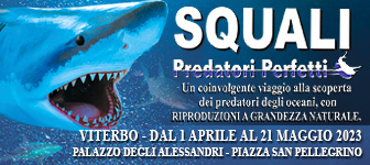 Viterdino-Squali_predatori_perfetti_2023_-_336x150