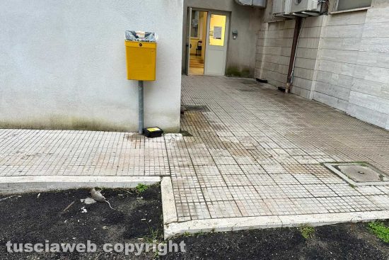 Un topo morto all'ospedale di Tarquinia