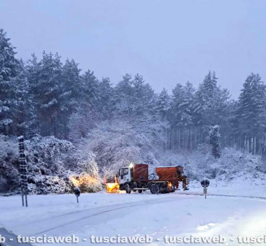 Neve sulla Cimina
