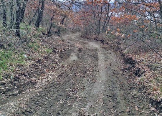Montefiascone - La strada "Ciucciara"