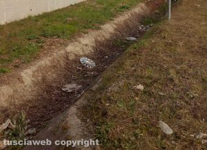 Viterbo - Cassia nord - Canale di raccolta acqua pieno di rami e immondizia"