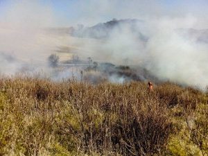 Tarquinia - Sterpaglie in fiamme