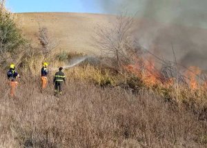 Tarquinia - Sterpaglie in fiamme