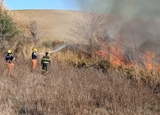 Incendio di sterpaglie a Tarquinia
