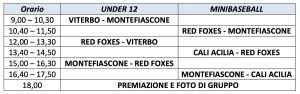 Sport - Baseball - Gli orari del “Primo memorial Andrea Bologna”