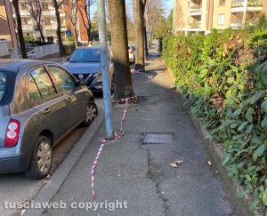 Viterbo - Via Monte Cervino - Nastri a terra dopo la potatura degli alberi