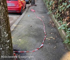 Viterbo - Via Monte Cervino - Nastri a terra dopo la potatura degli alberi