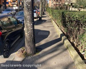 Viterbo – Via Monte Cervino – Dopo la segnalazione
