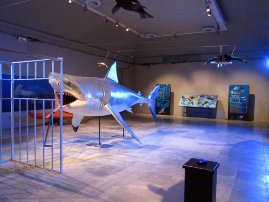 “Mostra Squali Predatori Perfetti”