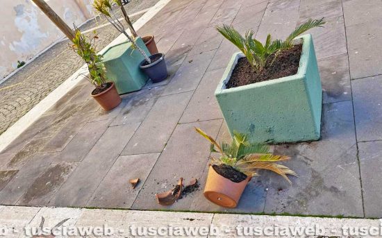 Civitavecchia - Movida selvaggia al Ghetto