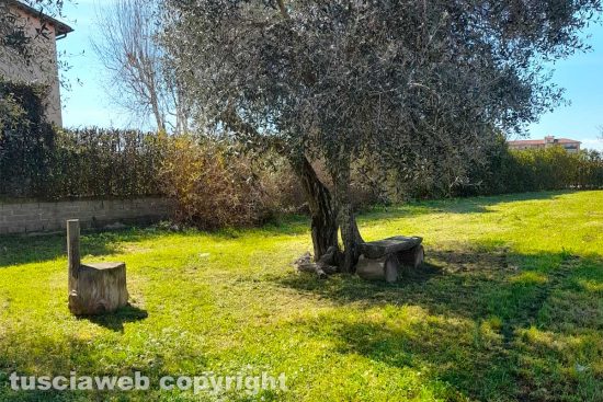Viterbo - Lo sfalcio dell'erba ai giardinetti di Santa Lucia