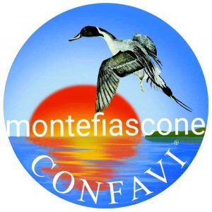 Confavi Montefiascone - Il logo