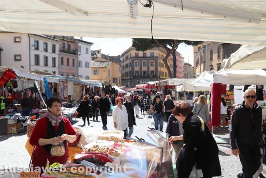 Viterbo - Fiera dell'Annunziata