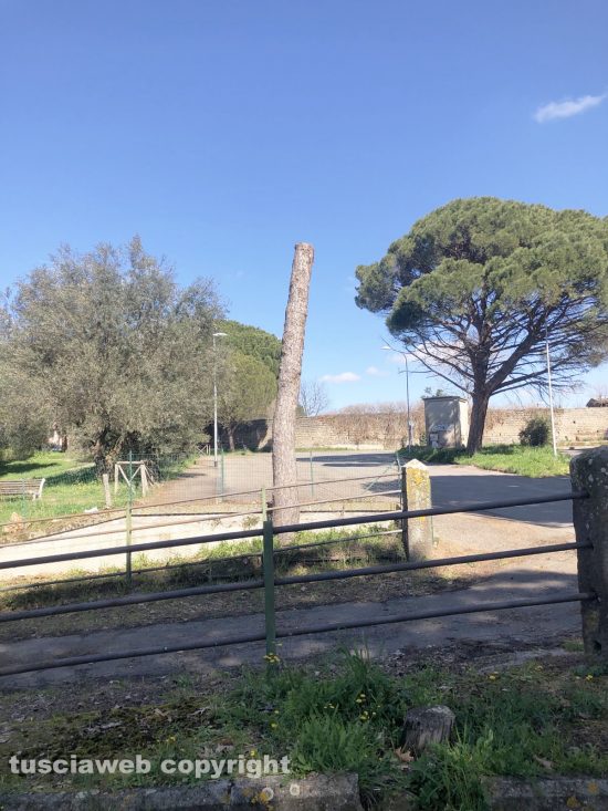 Viterbo - I giardinetti a via della Fiera alla Quercia 