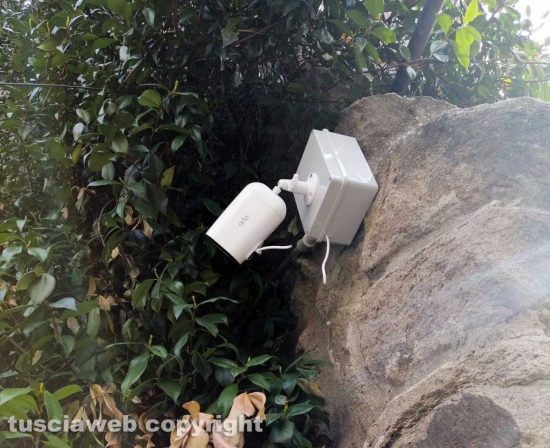 Viterbo - I fili delle telecamere tagliati