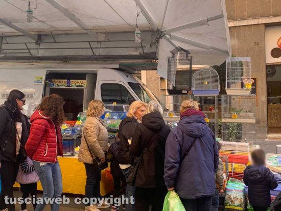 Viterbo - Fiera dell'Annunziata