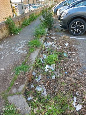 Viterbo - Erbacce in via dei Monti Cimini