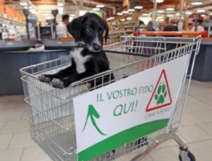 Cane al supermercato