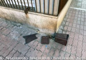 Civitavecchia - Movida selvaggia al Ghetto