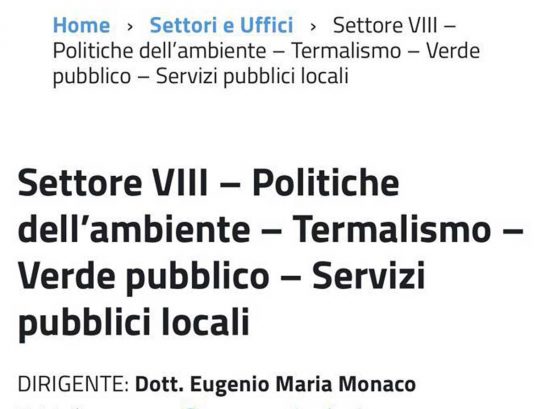 Il sito del comune con info del dirigente errate