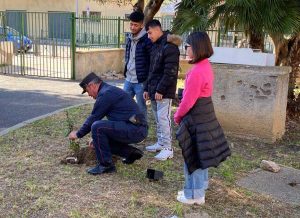 Civitavecchia - L’iniziativa sull’apicoltura della scuola media
