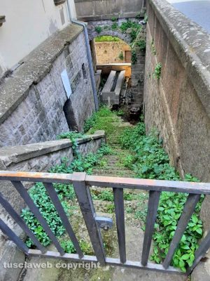 Viterbo - Erbacce, monumenti chiusi