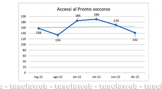Viterbo - Gli accessi al pronto soccorso - Dati report Asl-regione Lazio