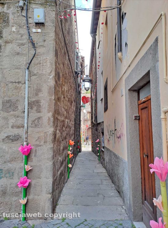 Viterbo in festa - In via Baciadonne fiori e cuori di carta