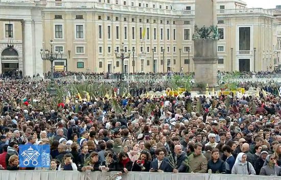 Roma - La messa della domenica delle Palme in piazza San Pietro