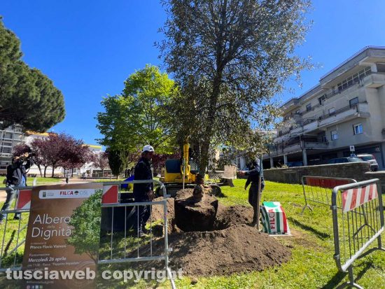 Parco Impastato - Piantumazione pioppo in memoria di Franco Flavio Visinoni
