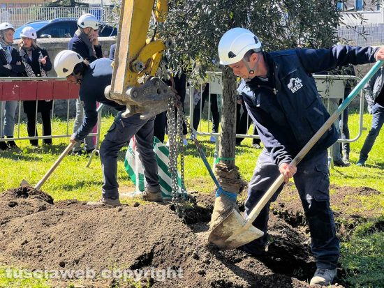 Parco Impastato - Piantumazione pioppo in memoria di Franco Flavio Visinoni