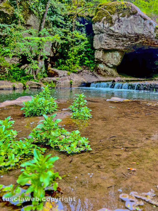 Il parco delle cascate di Chia