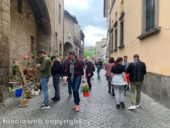 Viterbo in festa nella giornata di domenica 30 aprile