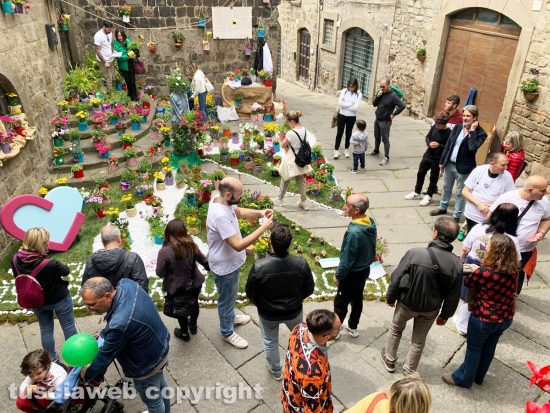Viterbo in festa nella giornata di domenica 30 aprile