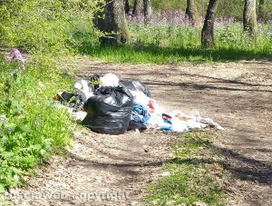 Vetralla - Rifiuti in via del Bosco