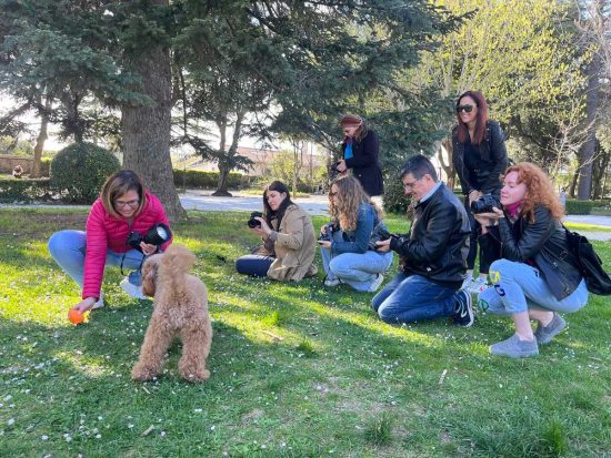Scuola di fotografia Click APS - Una lezione di pet photography all'aperto