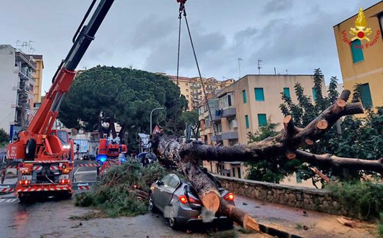 Messina - Il pino precipitato su un'auto in sosta
