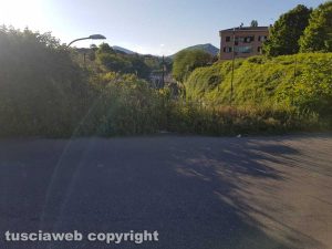 Viterbo - Erba alta alla Capretta