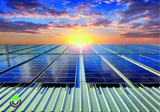 Flora Multiservice - Impianto fotovoltaico
