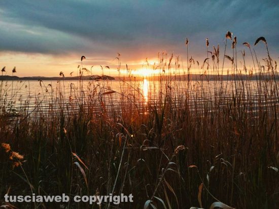 Tramonto nel canneto