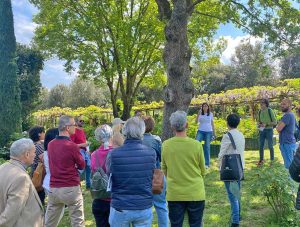 Vitorchiano - Asl - "Kiss experience" per i pazienti oncologici al centro botanico Moutan