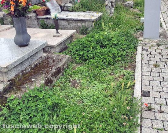 Montefiascone - L'erba alta tra le tombe della parte vecchia del cimitero