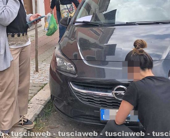 Civitavecchia - Gattini salvati