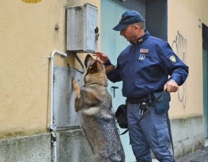 Polizia - Controlli antidroga
