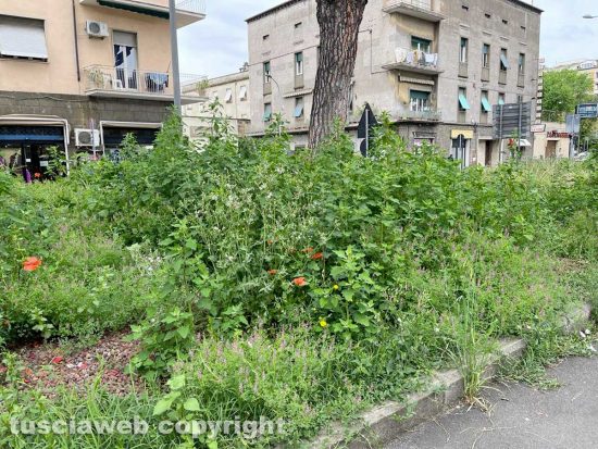 Viterbo - Piazzale Gramsci ridotto a una giungla