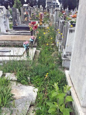 Montefiascone - L'erba alta tra le tombe della parte vecchia del cimitero