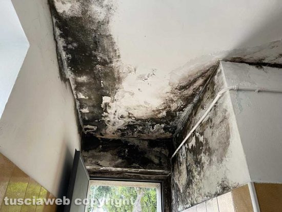 Pratogiardino Lucio Battisti - La lordura sul soffitto del bagno degli uomini